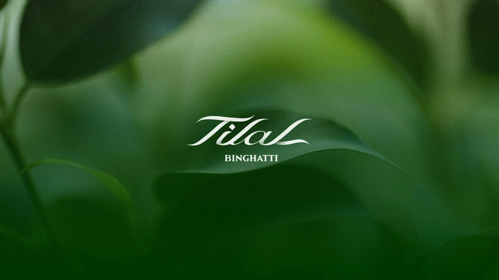 tilal-binghatti-brochure-cover.jfif tilal-binghatti-brochure-cover.jfif_